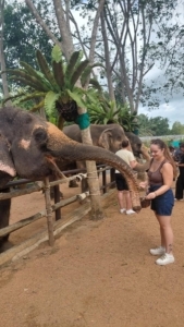 Amandine est en stage à Koh Samui à The Rock Samui Beach Resort et propose une offre touristique responsable et éthique envers les animaux.