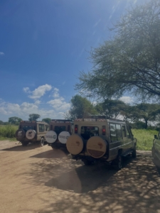 Mlle FIEVET Hanaë fait un stage en Tanzanie dans l'agence touristique Serengeti Big Cats à Arusha.