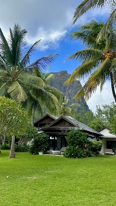 Amandine et Eden font leur stage de deux mois dans le cadre du BTS Tourisme 1ère année à l'Île Maurice auprès de l'agence Ocean Spirit Scuba Diving Mauritius ! 