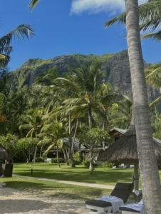 Morgane, Jihan, Caroline, Eva et Nathan effectuent un stage de deux mois à l'île Maurice auprès des agences d'excursions Mauritius Dream Excursion et Crystal Vacance Tour. C'est très varié et intéressant.
