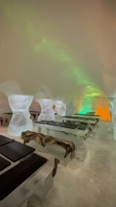 Louna et Loup, étudiants en BTS Tourisme 1ère année, effectuent leur stage de 3 semaines en Finlande à l'ArticSnow Hotel à Rovaniemi  Ils mettent en pratique les cours théoriques concernant l'accueil des clients de l'hôtel et l'organisation des tours. 