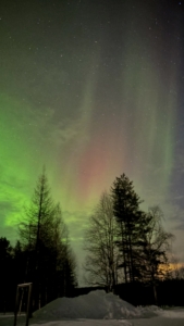 Louna et Loup, étudiants en BTS Tourisme 1ère année, effectuent leur stage de 3 semaines en Finlande à l'ArticSnow Hotel à Rovaniemi  Ils mettent en pratique les cours théoriques concernant l'accueil des clients de l'hôtel et l'organisation des tours. 