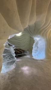 Louna et Loup, étudiants en BTS Tourisme 1ère année, effectuent leur stage de 3 semaines en Finlande à l'ArticSnow Hotel à Rovaniemi  Ils mettent en pratique les cours théoriques concernant l'accueil des clients de l'hôtel et l'organisation des tours. 
