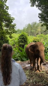 Louna et Manon effectuent leur stage de BTS Tourisme 1ère année dans un lieu paradisiaque, Koh Kood en Thaïlande. Nous remercions le centre de plongée sous-marine BB Divers de les accueillir deux mois : BB divers Koh Chang 