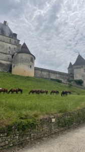 Stage BTS Tourisme 1ère année - Centre Equestre le Marina - Mimizan - Mlle FADY