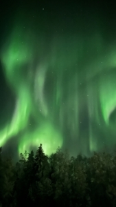 Eden et Amandine effectuent un stage d'un mois en Laponie auprès de Staylapland à Rovaniemi en Finlande. Elles conseillent les touristes, les accompagnent dans leurs activités et sont également à la réception pour la partie hébergement.