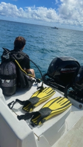 Amandine et Eden font leur stage de deux mois dans le cadre du BTS Tourisme 1ère année à l'Île Maurice auprès de l'agence Ocean Spirit Scuba Diving Mauritius ! 
