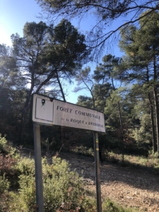 Mlle Léa BARO est en stage à l'Office du Tourisme de La Roque d'Anthéron.