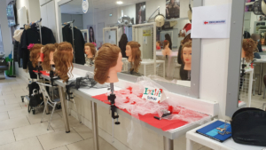 Classe de Seconde Bac Pro Métiers de la Coiffure - PPCP - Lycée privé Clovis Hugues